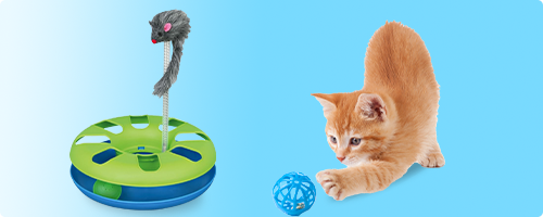 Jouets pour chat